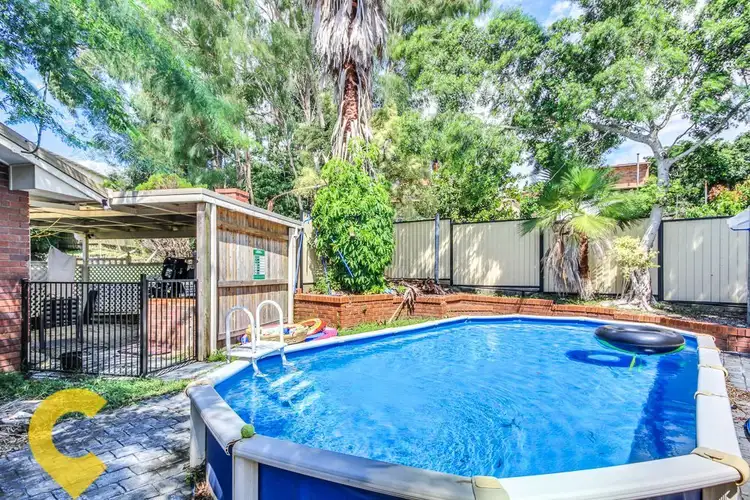 Sixth view of Homely house listing, 11 Foliage Court, Shailer Park QLD 4128