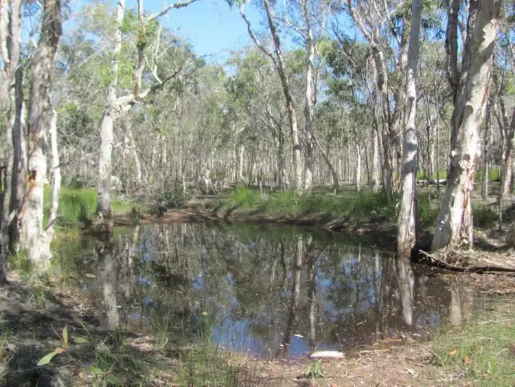 Second view of Homely rural property listing, 210 Capricornia Drive, Deepwater QLD 4674