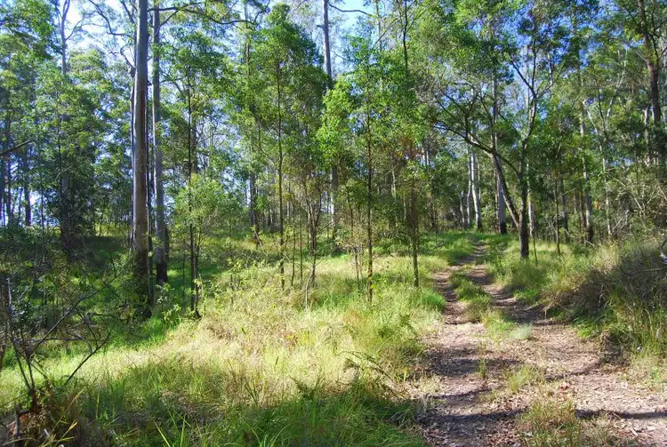 Fifth view of Homely land listing, 87 Doyles Road Reesville, Maleny QLD 4552