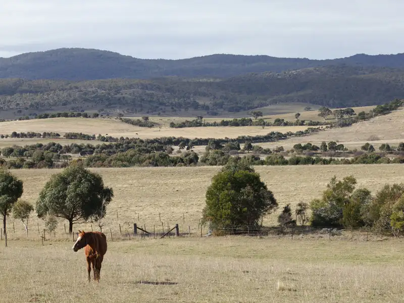 Main view of Homely rural property listing, 438 Plains Road, Hoskinstown NSW 2621