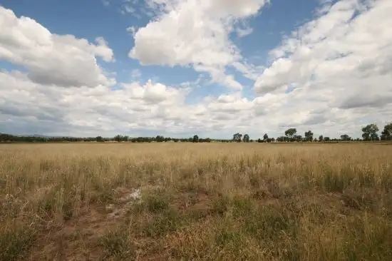 Lot 80 Nowland Crescent, Westdale NSW 2340