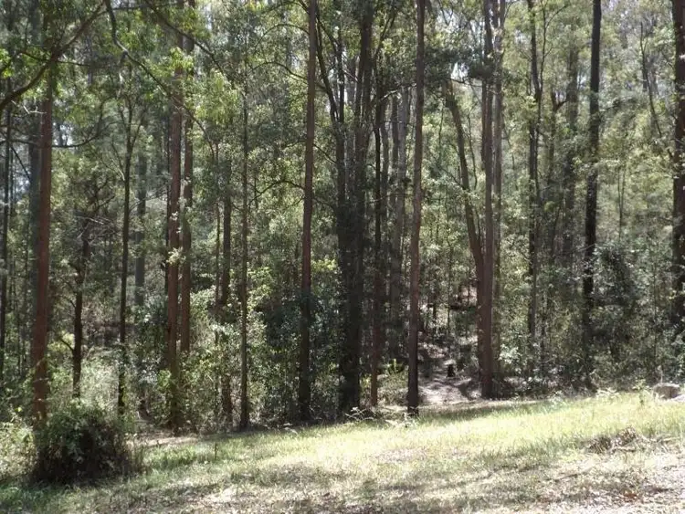 Fourth view of Homely house listing, 398 Congarinni Rd South, Macksville NSW 2447