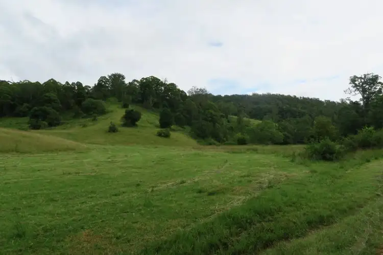 Lot 1068 SHEET OF BARK RD, Burrapine NSW 2447