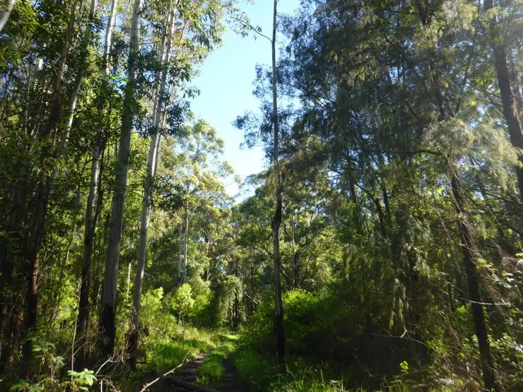 Fifth view of Homely rural property listing, 6&7 Pacific Highway, Valla NSW 2448