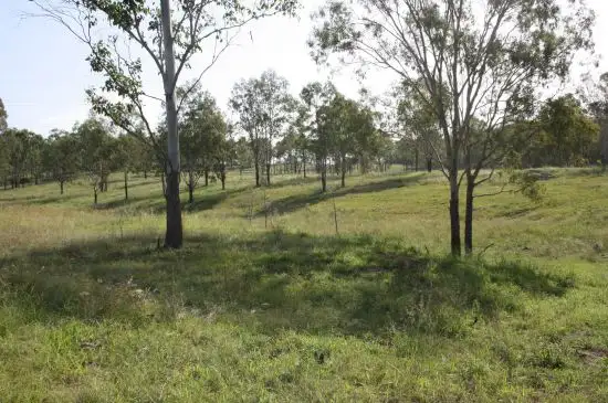 Sixth view of Homely rural property listing, 312 Connoles Road, Postmans Ridge QLD 4352