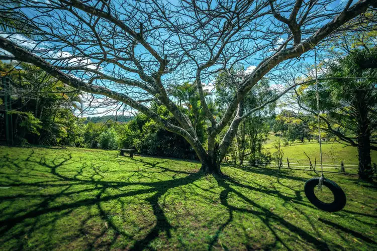 Third view of Homely rural property listing, 50 Greenaways Road, Nambucca Heads NSW 2448