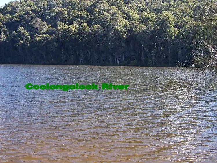Fifth view of Homely rural property listing, 48 Locketts Crossing Road, Coolongolook NSW 2423