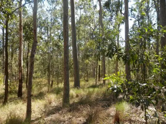 Lot 2 Clarence Way, Tabulam NSW 2469