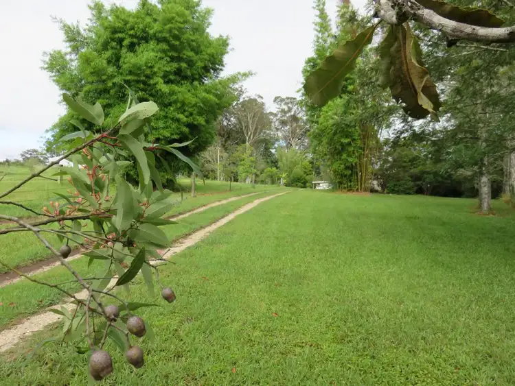 Seventh view of Homely house listing, 25 Borefield Road, Bowraville NSW 2449