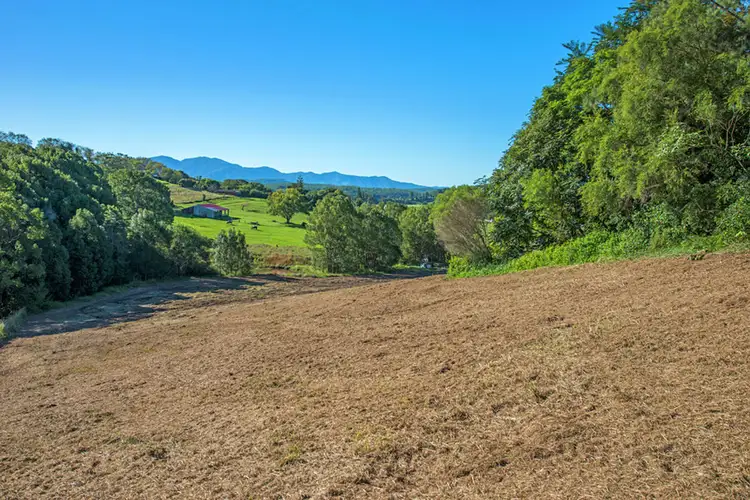 Part 40 Old Brierfield Road, Bellingen NSW 2454