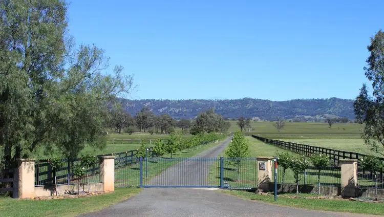 Third view of Homely rural property listing, 1 Dalmore Stud, Scone NSW 2337