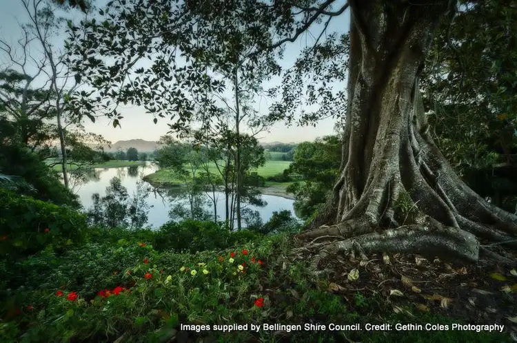 Third view of Homely house listing, 21 Baker Street, Bellingen NSW 2454