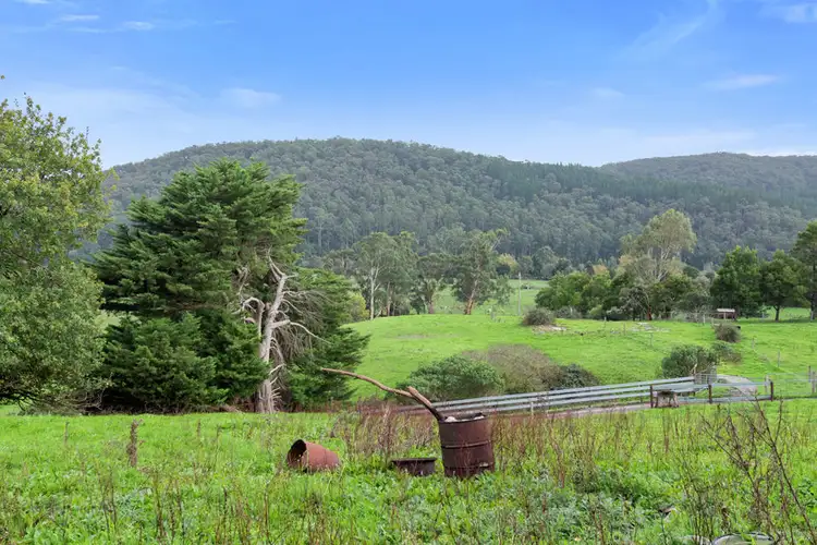 Fifth view of Homely rural property listing, 2060 Carlisle Road, Carlisle River VIC 3239