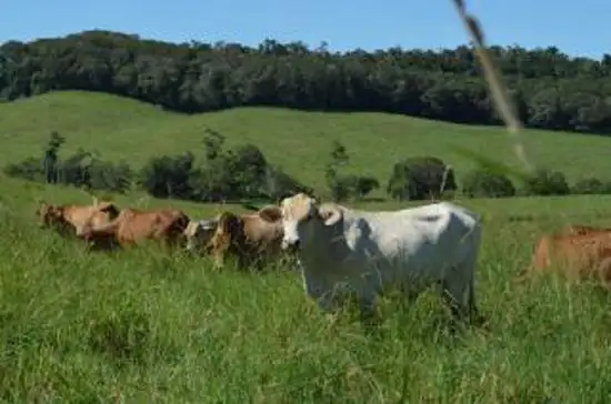 Third view of Homely land listing, Lot 5 Garioch Heights Road, Julatten QLD 4871
