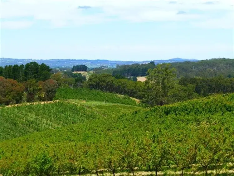 Seventh view of Homely rural property listing, L2/100 Plummers Road, Lenswood SA 5240