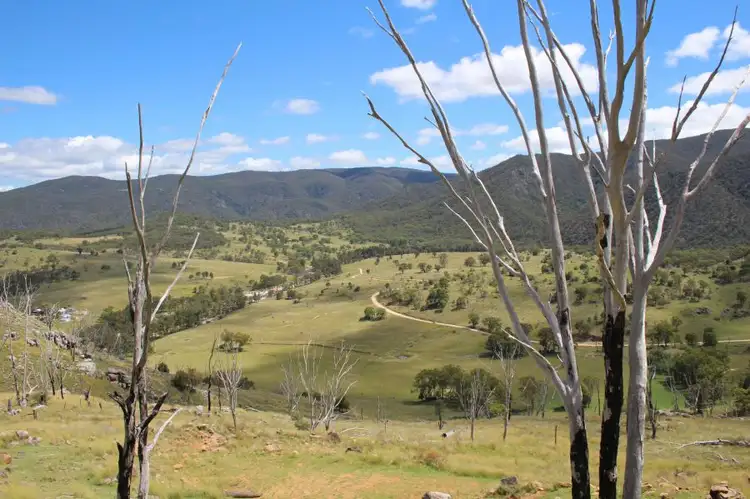 Third view of Homely rural property listing, 573 Bluff River Road, "Rastases", Tenterfield NSW 2372
