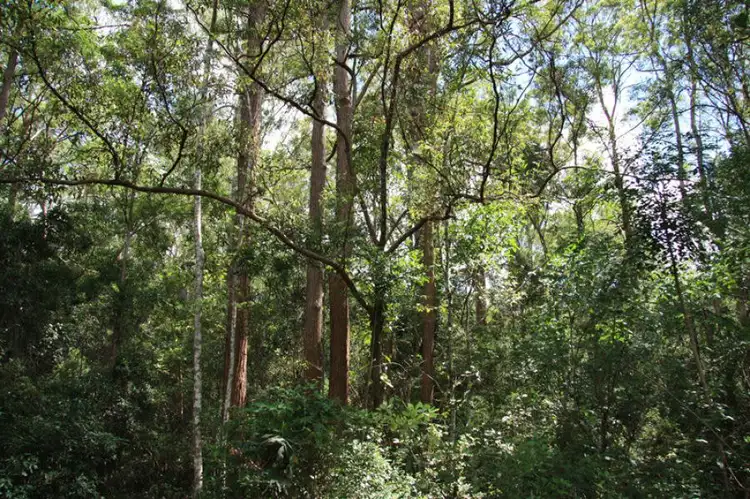 Seventh view of Homely land listing, Address available on request