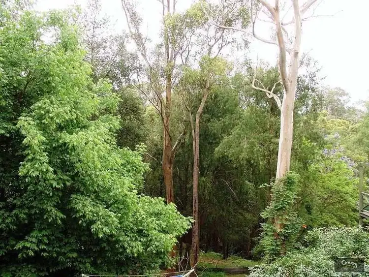 Fifth view of Homely house listing, 28 Nichols Parade, Mount Riverview NSW 2774