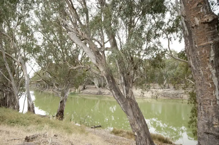 Third view of Homely land listing, Lot 8 Riverside Estate, Deniliquin NSW 2710