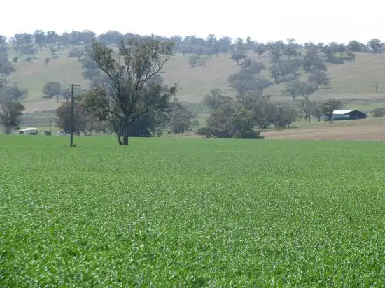 Second view of Homely rural property listing, Address available on request