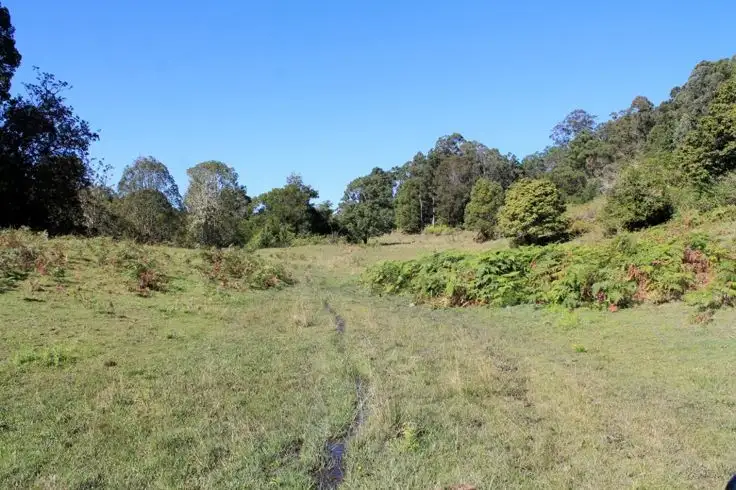 Fifth view of Homely rural property listing, Lot 1 Davis Road, Green Pigeon, Kyogle NSW 2474