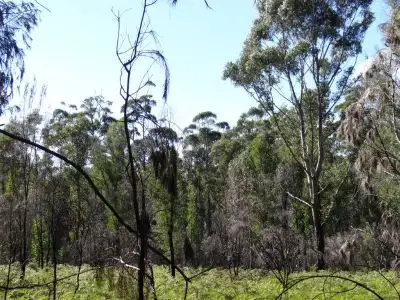 Third view of Homely land listing, Lot 1 Schofields Road, Murdunna TAS 7178