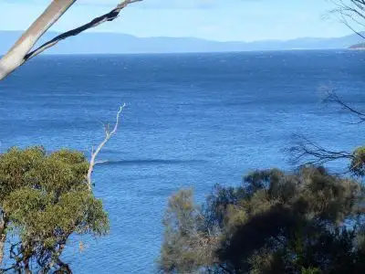 Seventh view of Homely land listing, 39 Susans Bay Road, Primrose Sands TAS 7173