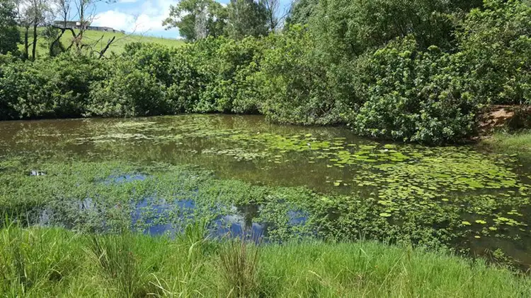 Seventh view of Homely land listing, Lot 13 Winterleigh Way, Greens Creek QLD 4570