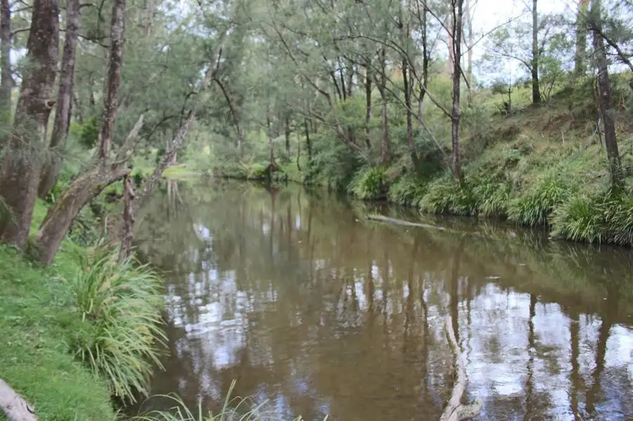 Main view of Homely rural property listing, 176 Boorook Road, Tenterfield NSW 2372