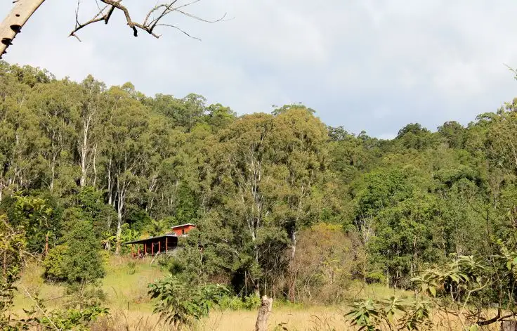 1154 Lynches Creek Road, Lynches Creek, Kyogle NSW 2474