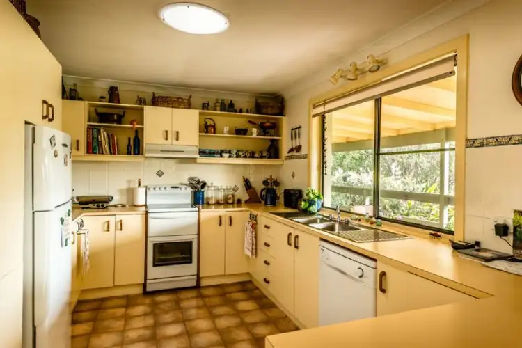 Sixth view of Homely rural property listing, 131 Mount Street, Bellingen NSW 2454