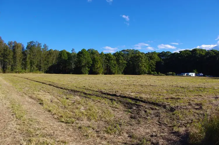 Third view of Homely rural property listing, 1332 Manning Point Road, Mitchells Island NSW 2430