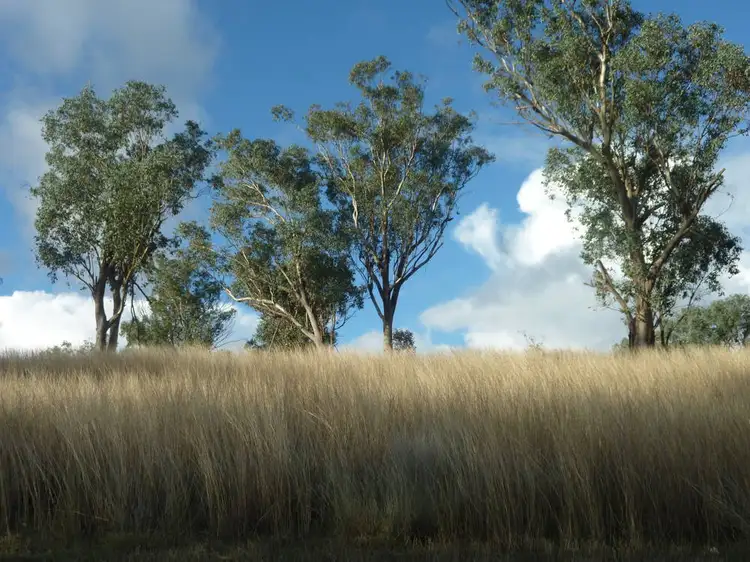 Fifth view of Homely rural property listing, ROSEVILLE PARK, Tamworth NSW 2340