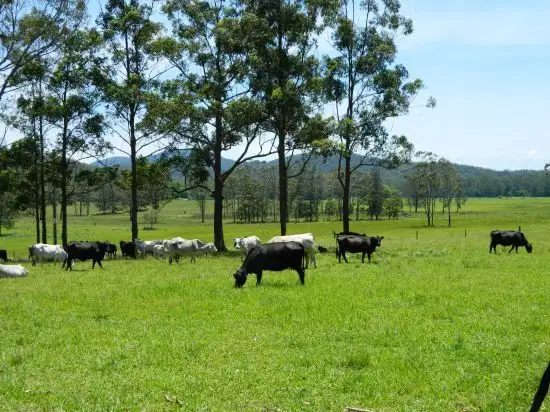 Third view of Homely rural property listing, Address available on request