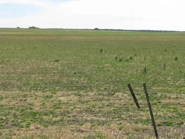 Fifth view of Homely rural property listing, Digby-Branxholme Road, Branxholme VIC 3302