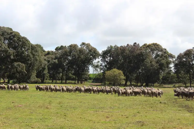 216 Astons Road, Nareeb VIC 3293