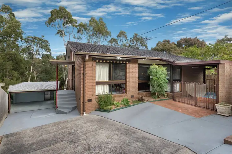 14 Morton Street, Box Hill South VIC 3128