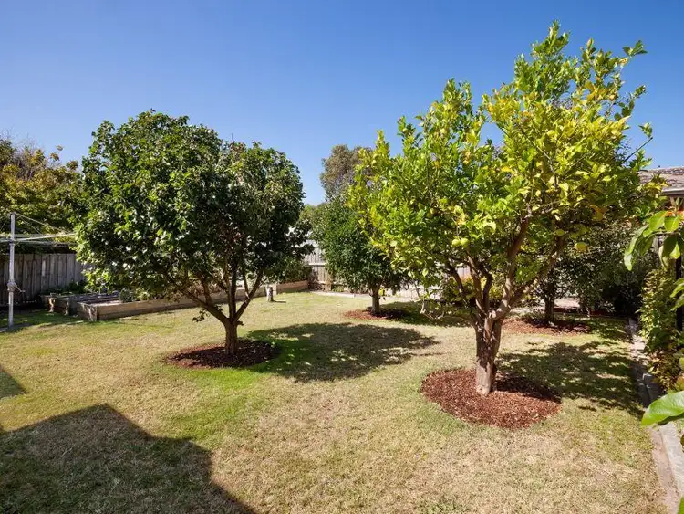 Fifth view of Homely house listing, 158 Station Street, Box Hill South VIC 3128