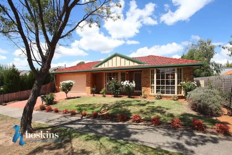 9 Aumann Court, Croydon North VIC 3136