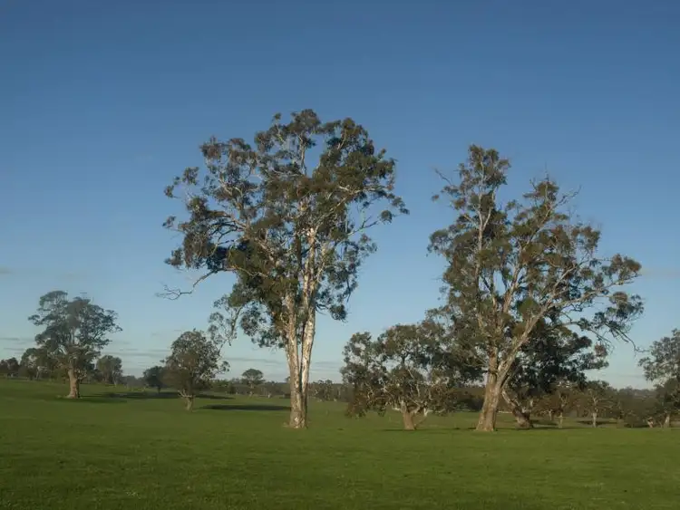 Fifth view of Homely rural property listing, 9150 Nhill Harrow Road, Harrow VIC 3317
