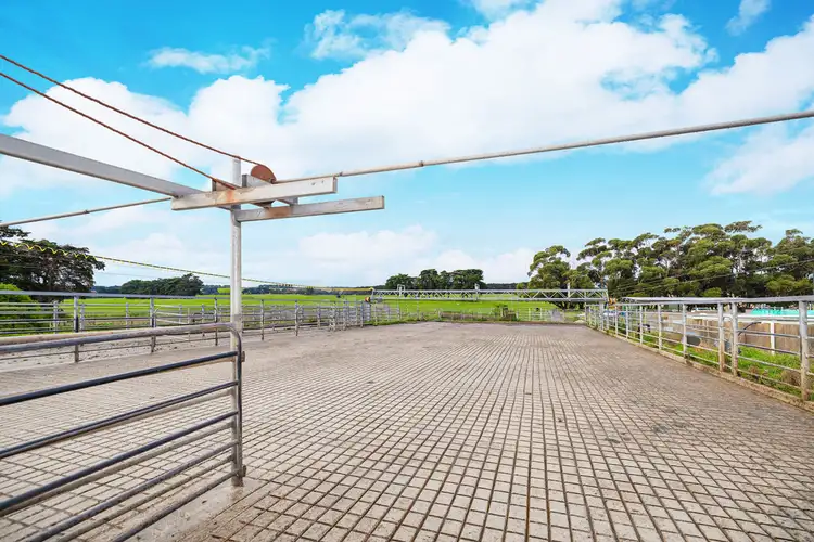 Sixth view of Homely rural property listing, 149 Chisletts Road, Cudgee VIC 3265