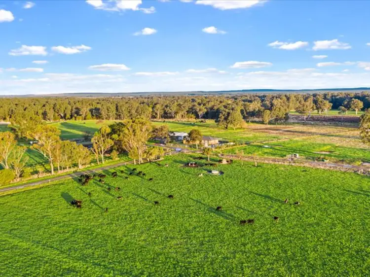 224 Lower Settlement Road, Pearsondale VIC 3851