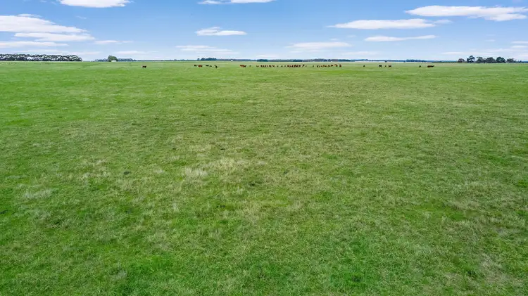 Third view of Homely rural property listing, Blackwoods, Minhamite- Caramut Road, Minhamite VIC 3287