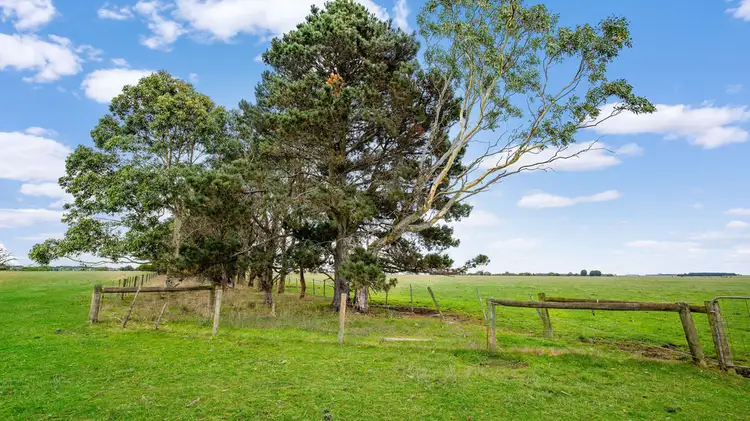 Fifth view of Homely rural property listing, Blackwoods, Minhamite- Caramut Road, Minhamite VIC 3287