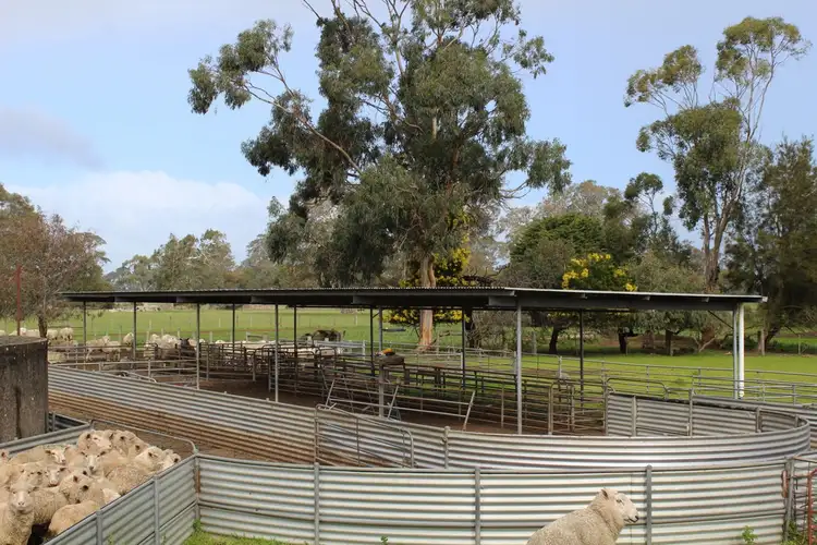 Fourth view of Homely rural property listing, 3248 Henty Highway, Cavendish VIC 3314