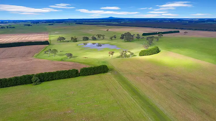 Main view of Homely rural property listing, 462 Chrome Road, Branxholme VIC 3302