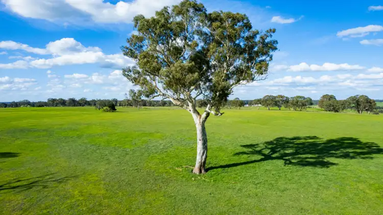 Third view of Homely rural property listing, 3808 Casterton-Edenhope Road, Chetwynd VIC 3312