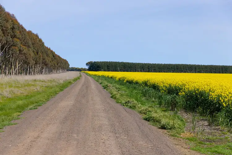 Third view of Homely rural property listing, Selkirk Rises Road, Mingay VIC 3324