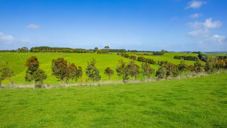 Fourth view of Homely rural property listing, 1461 Hopkins Highway, Purnim VIC 3278