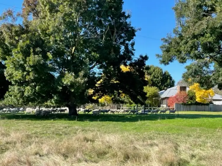 Third view of Homely rural property listing, 557 Munro - Stockdale Road, Munro VIC 3862